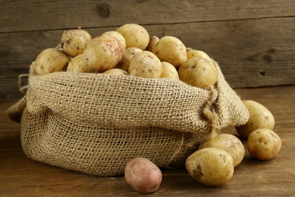 Картофель. Картофель в мешках. Импорт картофеля. Мешок картошки.