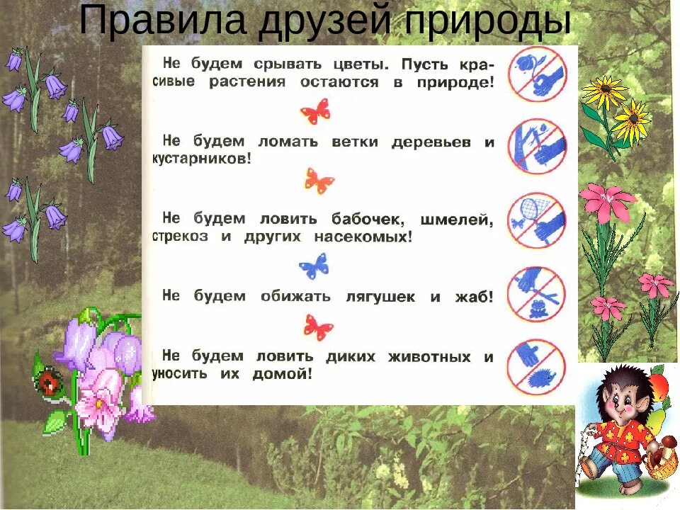 Почему природа друг. Загадки природы. Памятка друзей природы. Загадки про природу для детей 1 класс. Загадки по природе.