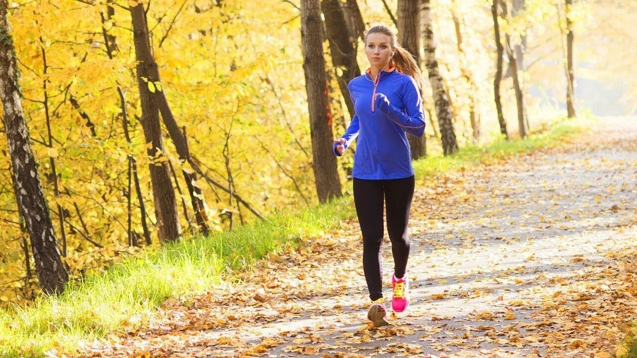 Fall run