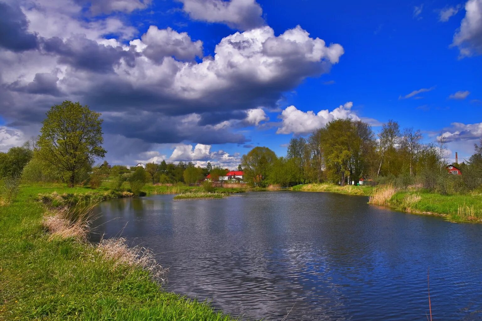 Город на реке сестра. Клин сестра речка Клинский район. Река сестра Сестрорецкий парк Клин. Река Скалба Пушкинский район. Река сестра Клинский район.