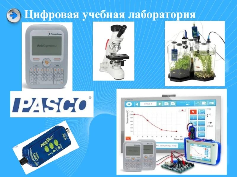 Программа дополнительного образования лаборатория
