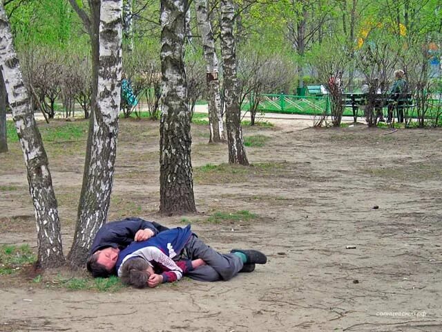 Почему солнцево назвали солнцево. Сквер молодежный Солнцево. Суково Солнцево. Солнцево 2007 год. Солнцево 2006 год.