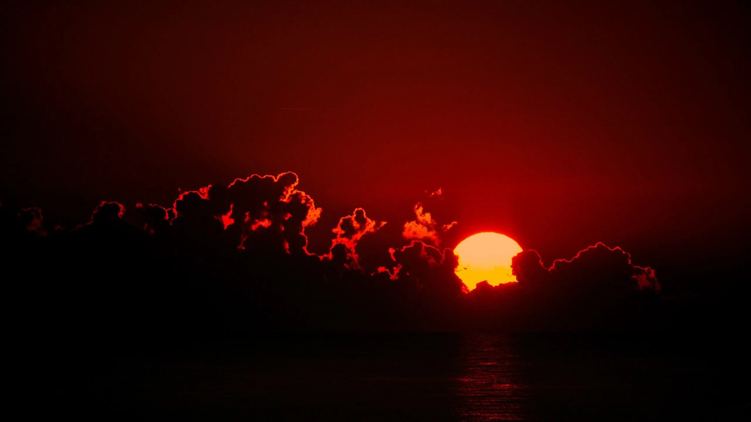 Красные огни в поле. Эффект искр. Сигнальная ракета в небе. Реалистичный огонь. Земля в огне.