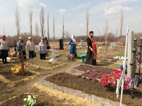 Радоница в 2024 году ставропольском крае. Село Мамоновка. Село Мамоновка Воронежская область. Село Мамоновка Верхнемамонского района Воронежской области. Радоница растение.