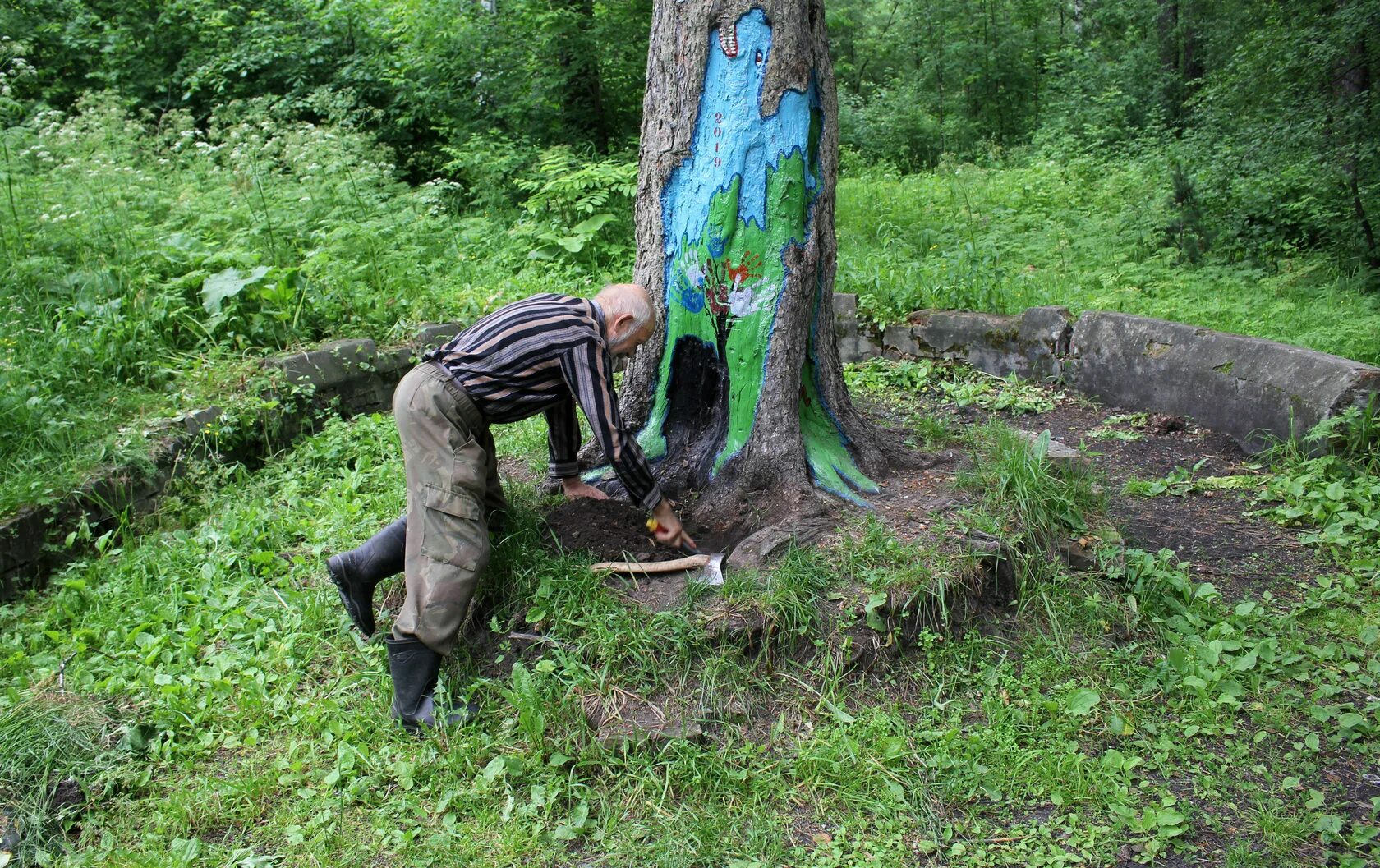 Тело родник. Михайловская роща Родники. Родник в Михайловской. Родник суровый. Родники Томска.