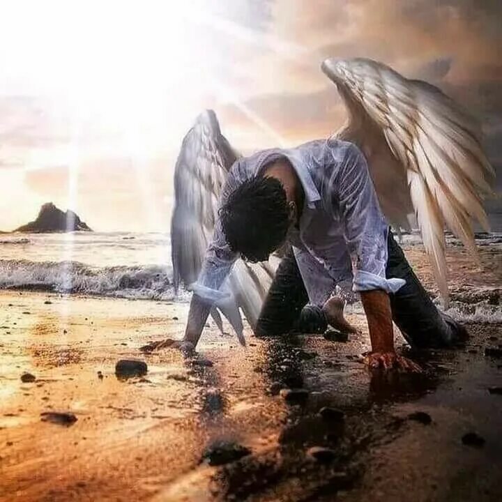 Христианские благодарение богу. Распятие иисуса христа на кресте на голгофе. Ангел уходит в небо. Пророк ибрагим. Христос смиренный.