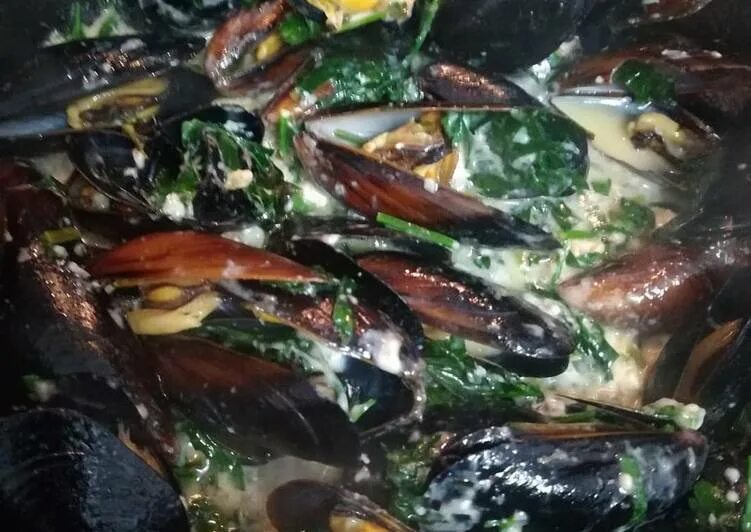 Мидии с сыром с плесенью. Мидии с сыром с плесенью. Мидия живая. Мидии с сыром с плесенью. Сырые моллюски.