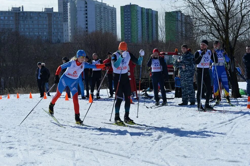 Лыжные гонки 50 км спартакиада. Соревнования Спартакиады МГО ВФСО «Динамо» по лыжным гонкам. Соревнования МГО Динамо по лыжным. Спартакиада по лыжным гонкам. Соревнования служебное двоеборье МГО Динамо.