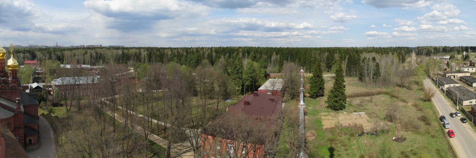 Лесная дорога. Черниговский лес сергиев посад грибы. Черниговский лес в сергиевом посаде. Черниговский лес сергиев посад. Светлохвойные леса.