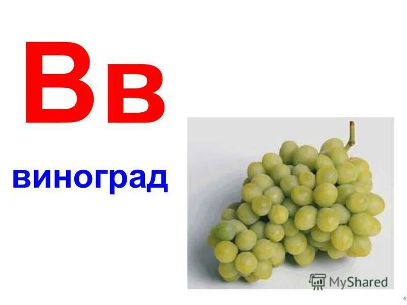 Виноград вв. Вв виноград. слово виноград.