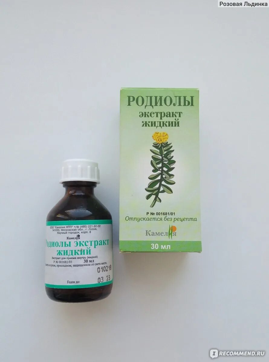 Родиола розовая как принимать. Камелия родиолы жидкий экстракт 30мл. Родиола настойка. Экстракт корня родиолы розовой. Родиола розовая золотой корень экстракт.