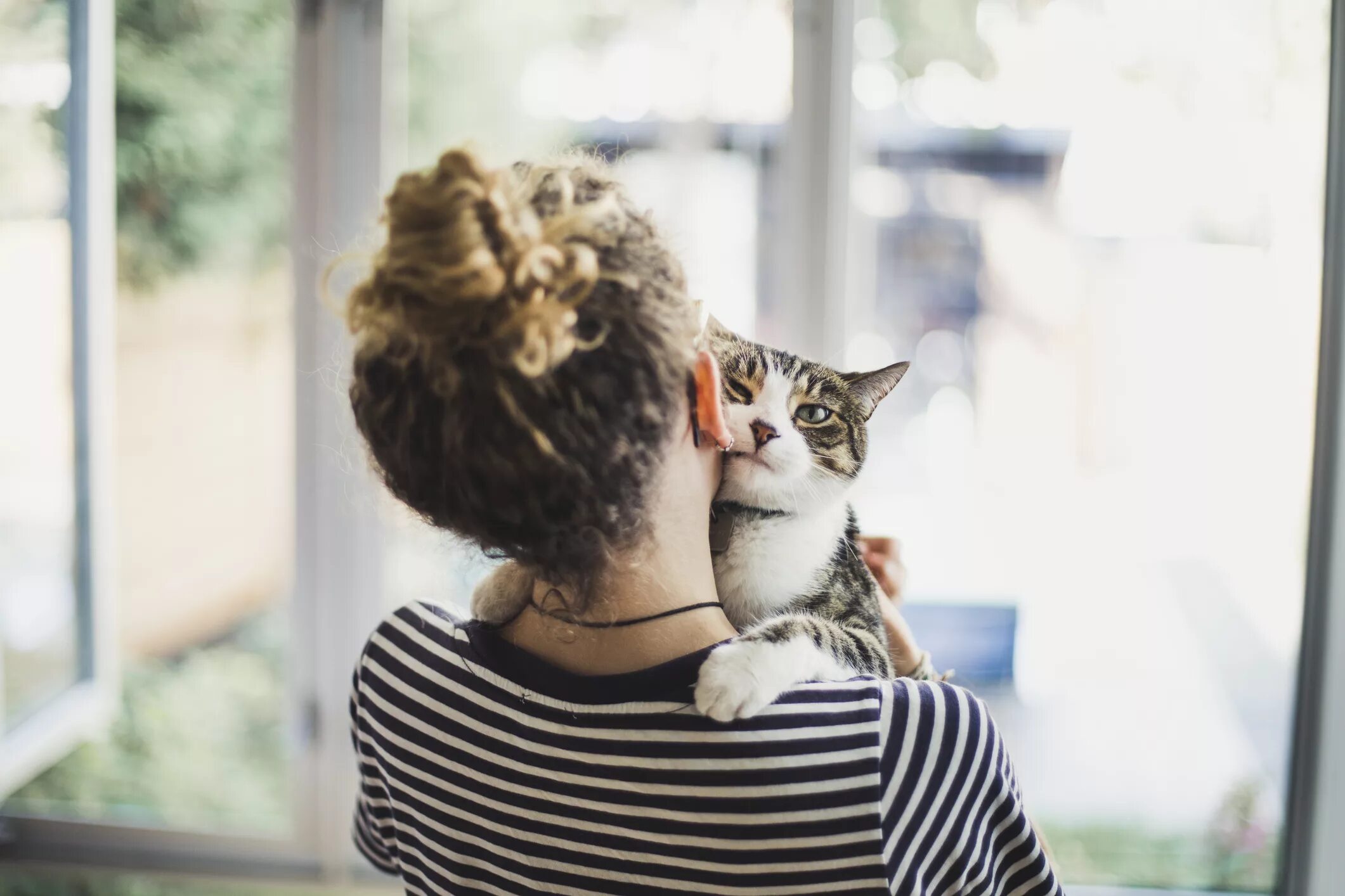 Звук зовущий кота. Человек зовет кота. кошкотерапия. человек зовет кота сток. hold a cat.