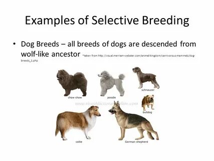 Sampling selection