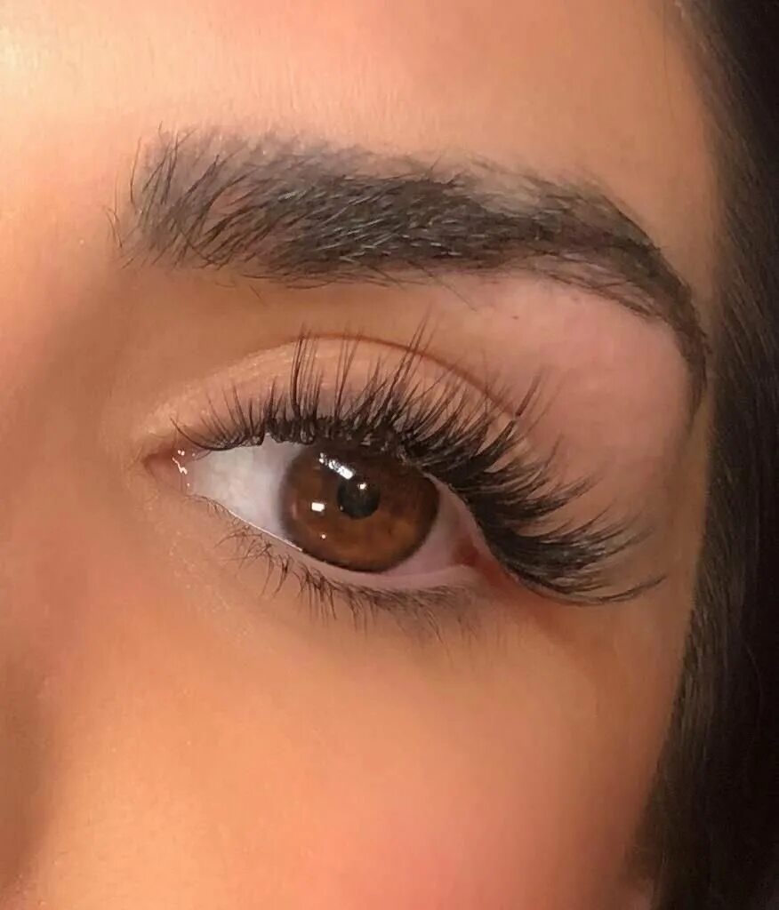 Lashes ресницы наращивание. Ресницы 2д мокко. Коричневые ресницы 2д Лисий эффект. Нарощенные ресницы.