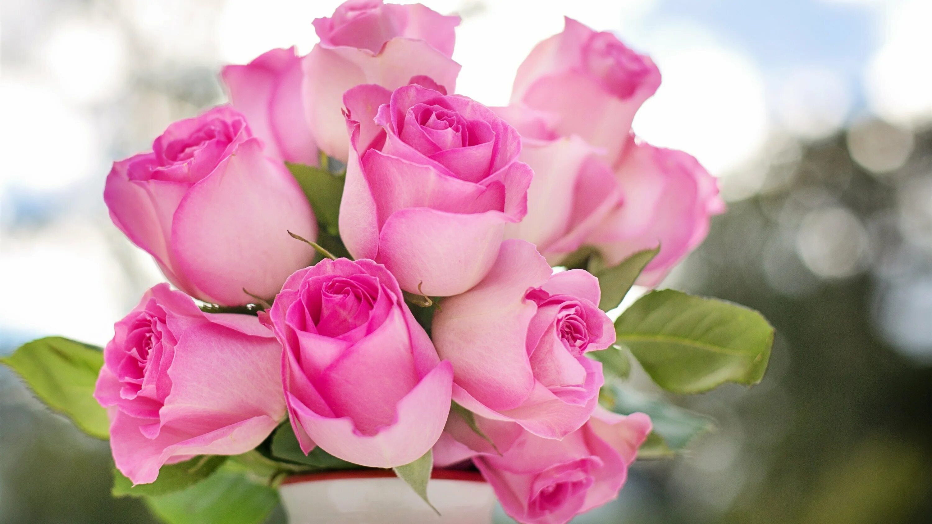 Розы Пинк Фловерс. Розовые розы. Букет розовых роз. Розы были красивы и пышны пробежав