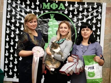 Домус донской тульская область