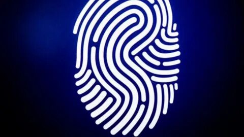 Fingerprint sensor