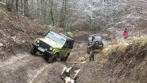 520 видео