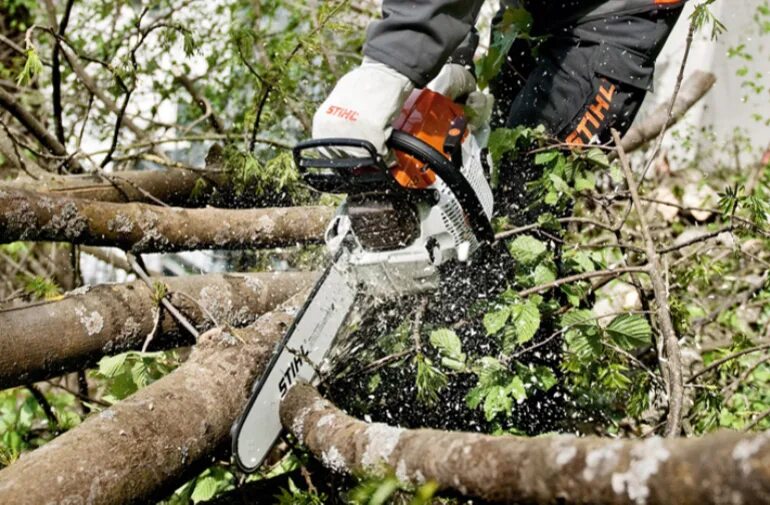 Снятие деревьев. Stihl ms 341. stihl 261. вырубка кустарников покос травы. shtil валка больших деревьев.