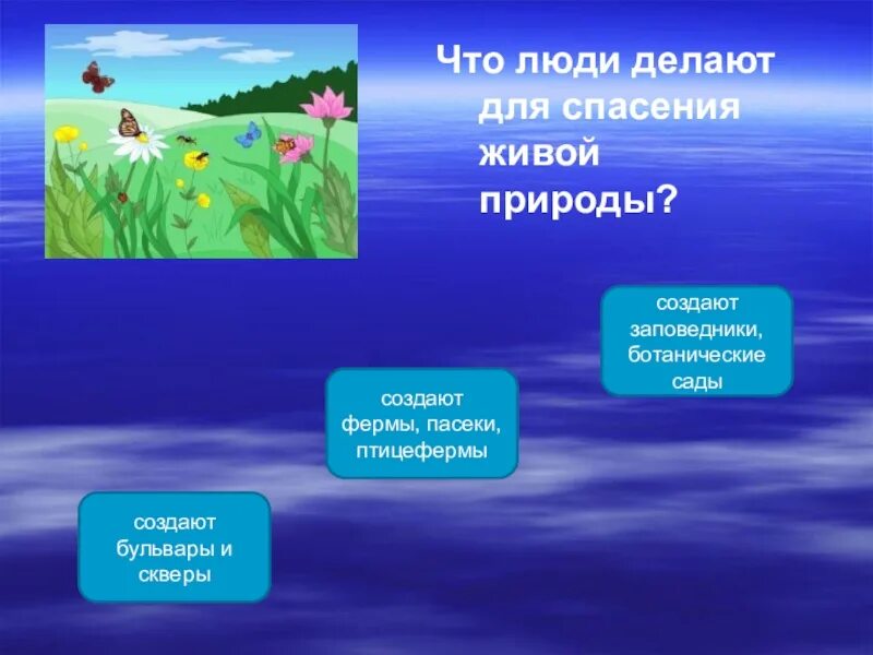 Чему учит общение с живой природой. Что делают люди для спасения природы. Что делает человек для природы. Что люди делают для спасения живой природы. Что делать на природе.