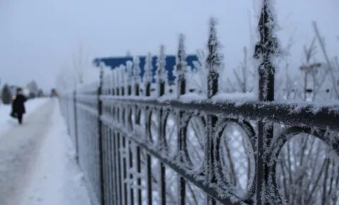 Most cold