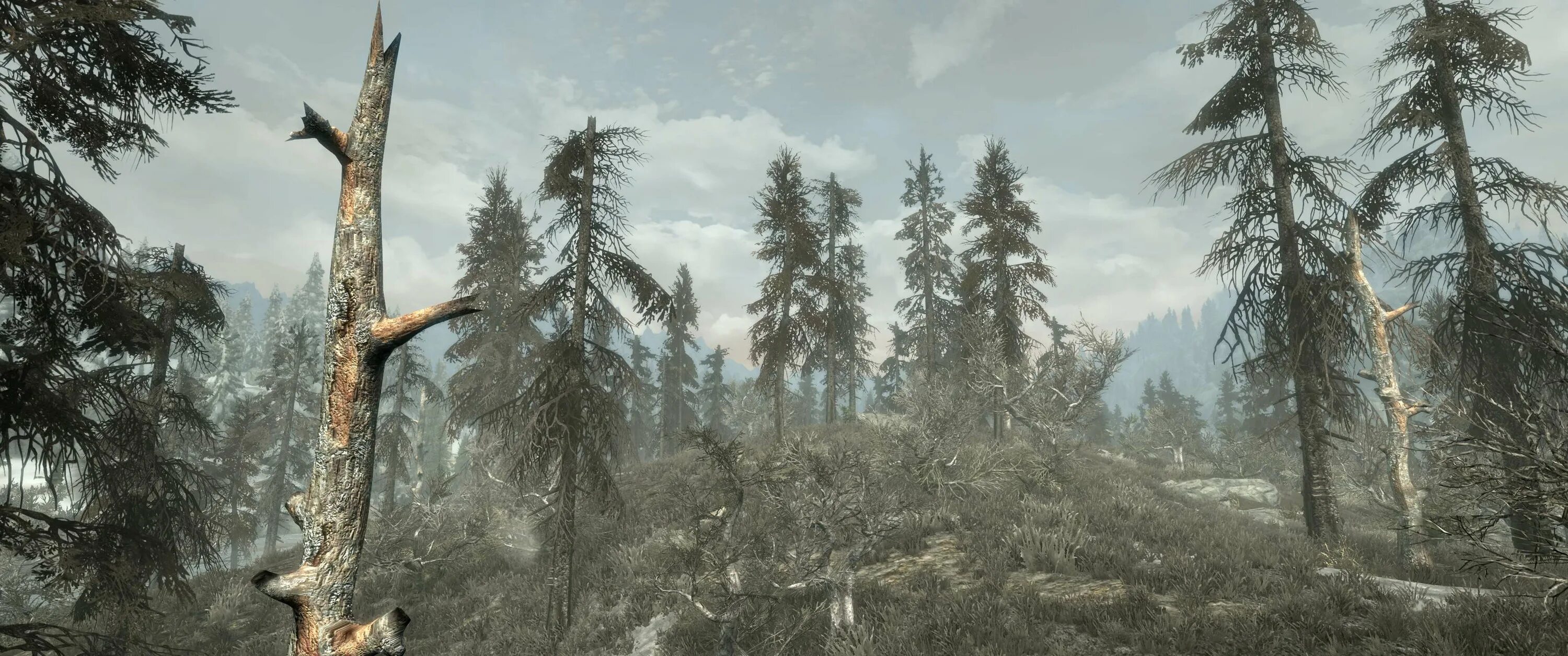 Skyrim se flora. Скайрим flora overhaul le. flora overhaul для skyrim se. skyrim special edition. skyrim мод на деревья.
