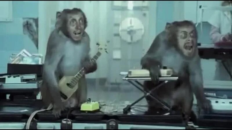 Where s your head at basement jaxx. Basement jaxx 2025. basement jaxx певица. where is your head at basement jaxx. basement jaxx обезьяны.
