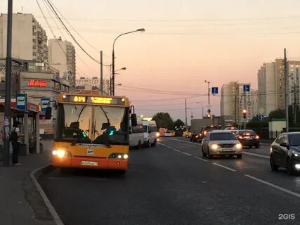 Митино тушино