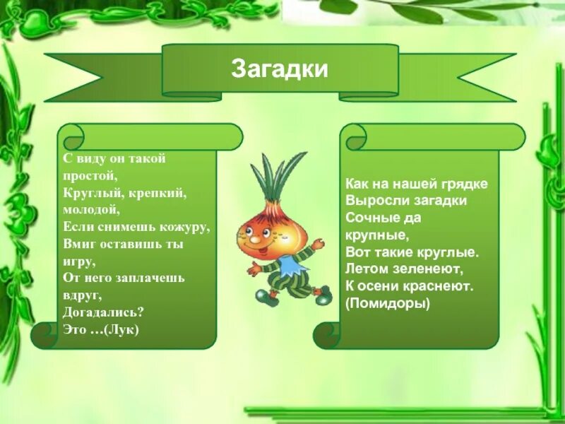 Загадка про лук. Загадка про лук для детей. Загадки о луке. Стихи о луке. Загадки террас