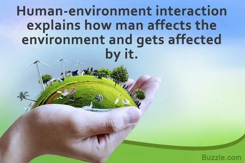 Environment file systems