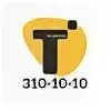 310 10 60