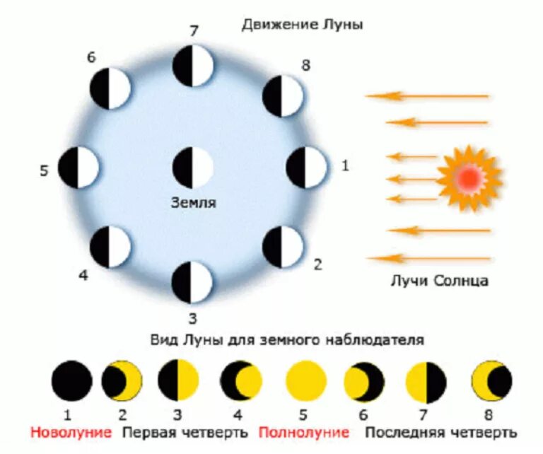 Лунные сутки фаза. Фазы Луны схема фаз. Циклы Луны схема. Схема изменения фаз Луны. Начертите схемы, поясняющие: а) смену фаз Луны;.