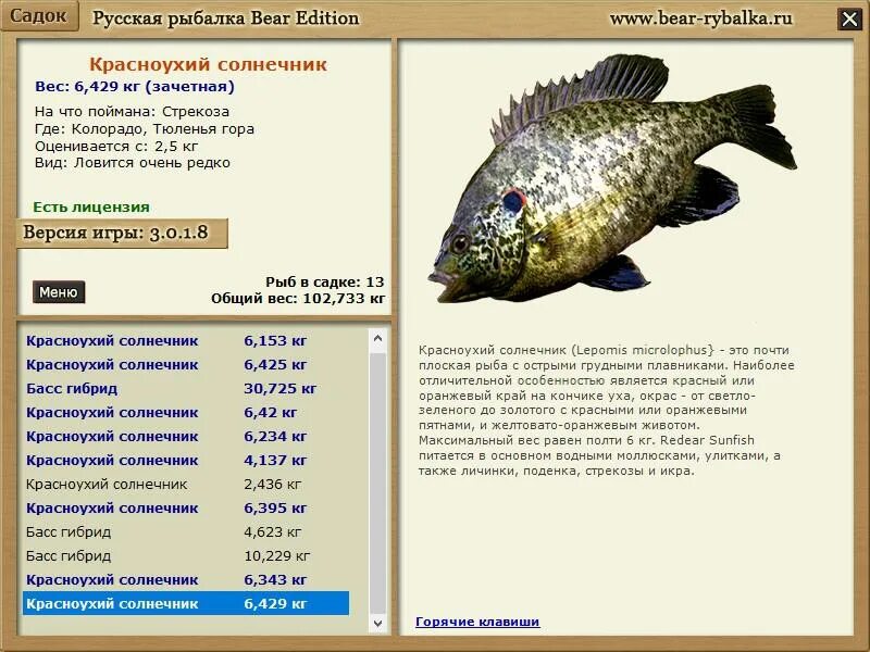 обыкновенный солнечник. красноухого солнечника. обыкновенный солнечник. синежаберный солнечник. синежаберный солнечник.