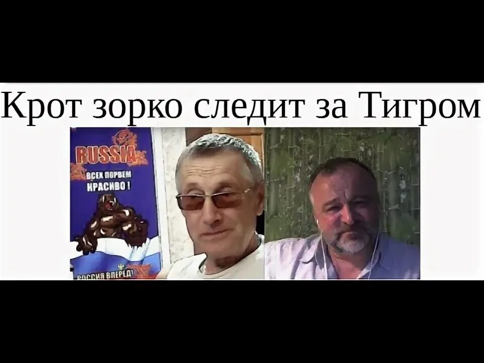 Песчаный крот блоггер. Песчаный крот блоггер. Песчаный крот блоггер. Песчаный крот блоггер. Песчаный крот блоггер.