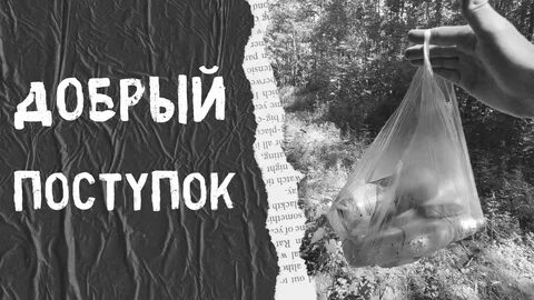 Доброе дело вместе ютуб последний