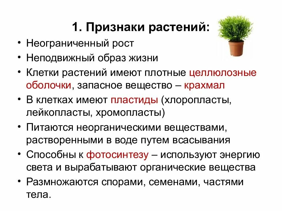 Значение ботаники 6 класс. Признаки растений. признаки растений 2 класс. признаки растений 6 класс. признаки растений 1 класс.