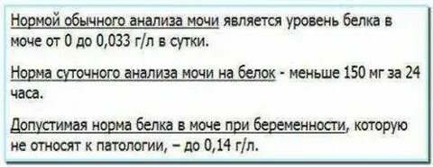 Белок в моче 36 недель беременности