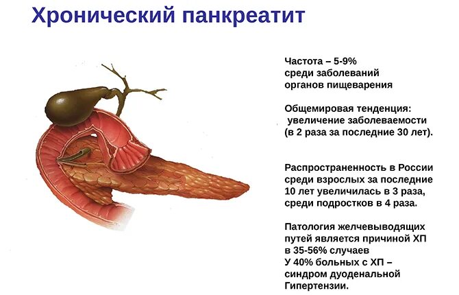 Панкреатит заболевание поджелудочной железы. Хронический панкреатит макропрепарат. Макропрепараты острого панкреатита. Болезнь хронический панкреатит поджелудочной железы. Хронически йпанкреотит.