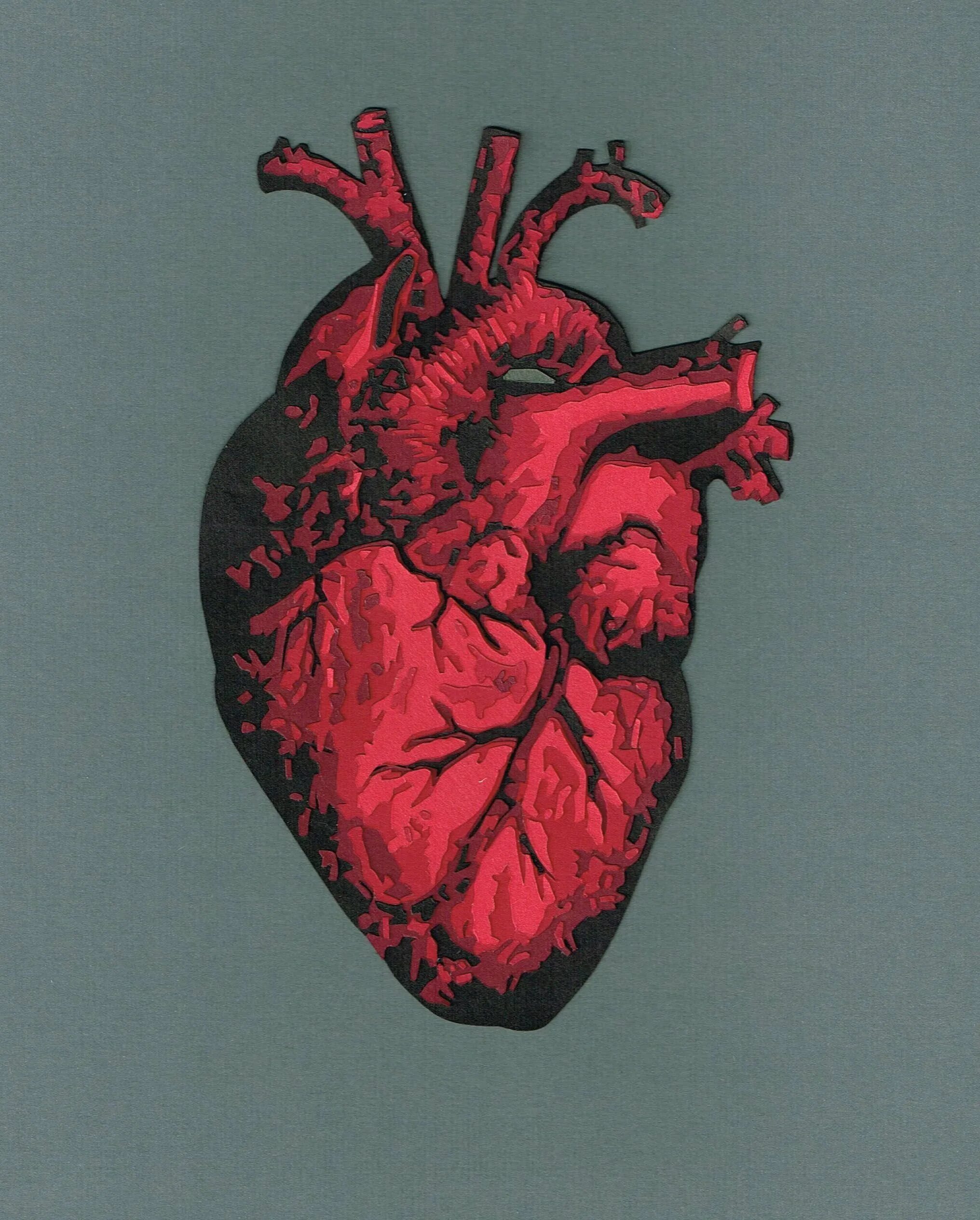 Человеческое сердце арт. Сердечко картинка эстетика