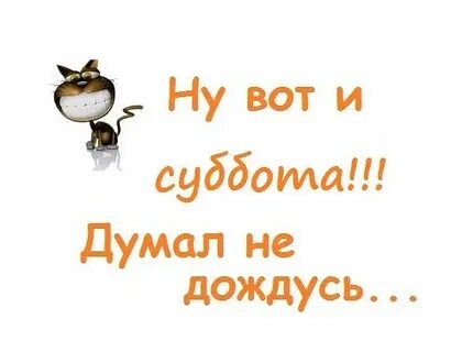Подожди думай