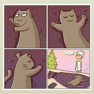 4 жизнь кота