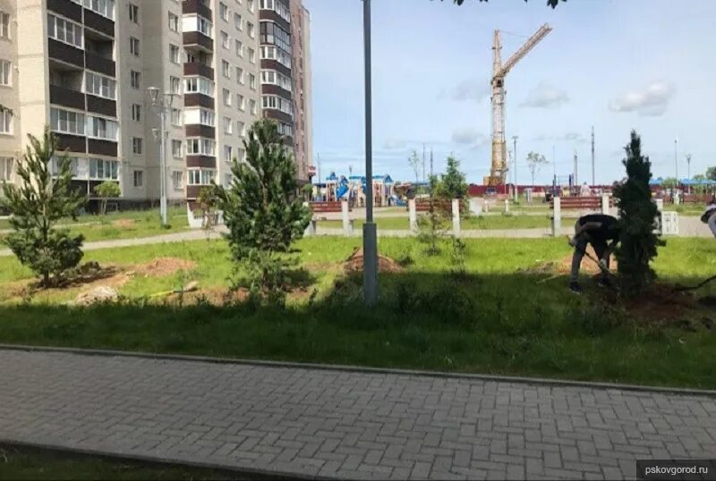 овсище тверская область. план застройки овсище псков. овсище псков. овсище псков. овсище псков.