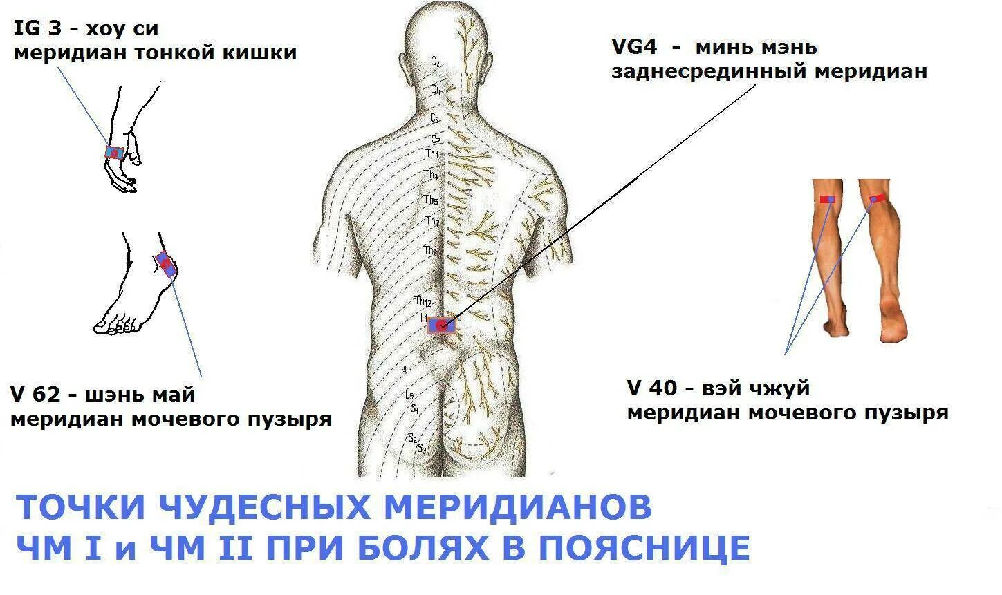 Точки иглоукалывания при болях в пояснице. Акупунктурные точки при боли в пояснице. Точки массажа при боли в пояснице. Точки нажатия при боли в пояснице.