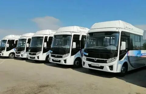 Сызрань тольятти автобус