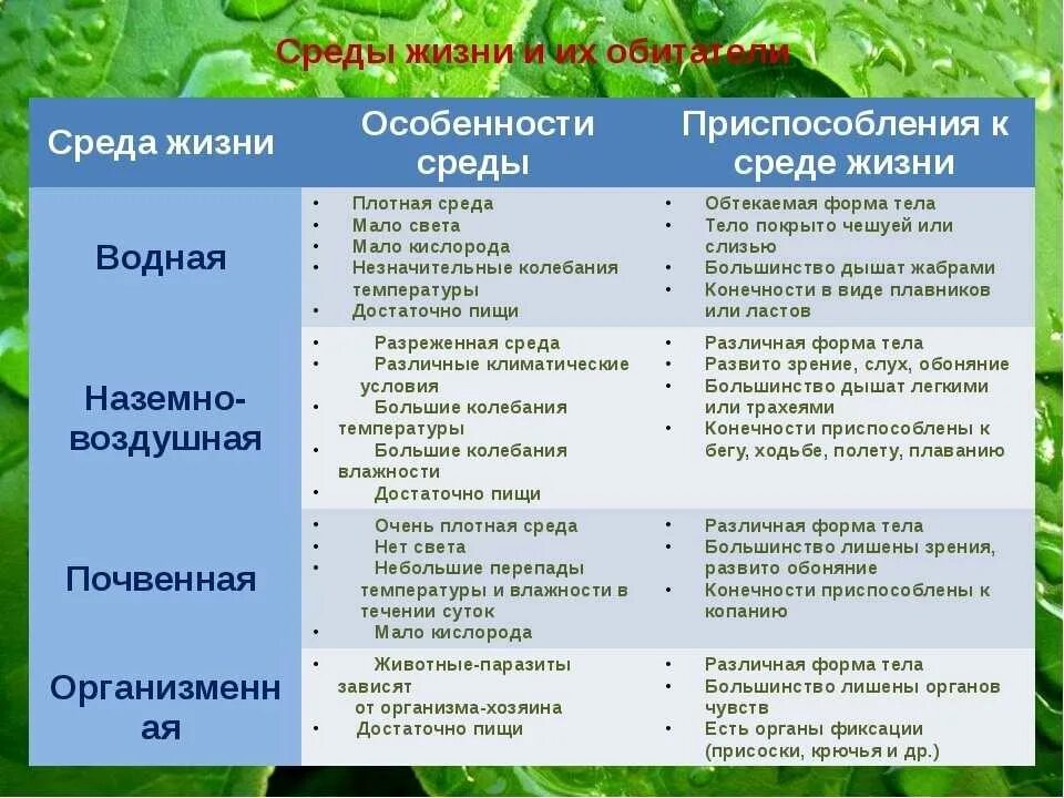 Изучение приспособленности организмов к определенной среде обитания. Характеристики сред обитания биология. Характеристика сред обитания таблица. Характеристика сред жизни. Среда.