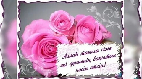 Жас қаншықтармен секс порно