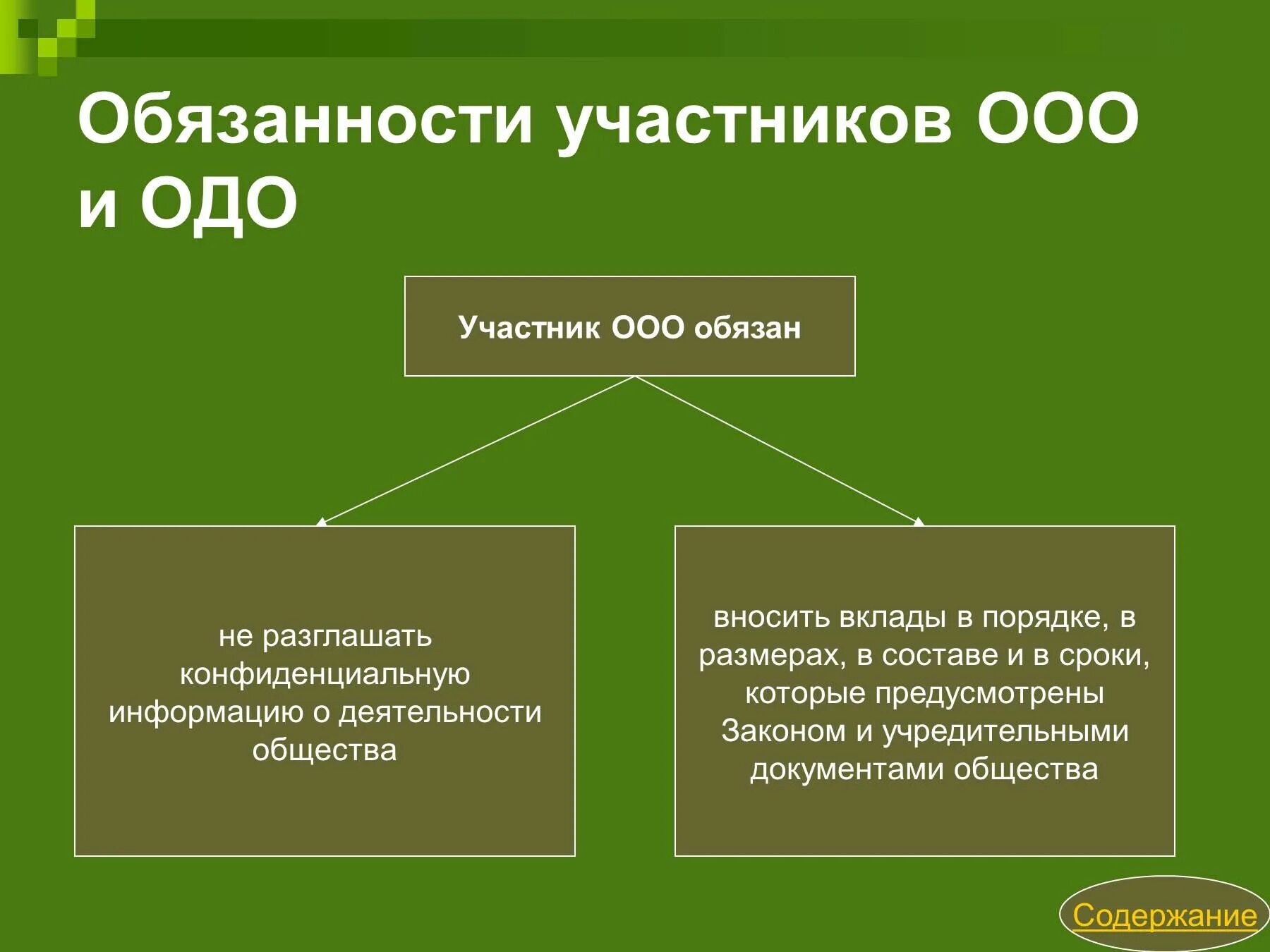 Обязанности участников ООО. ООО И ОДО.