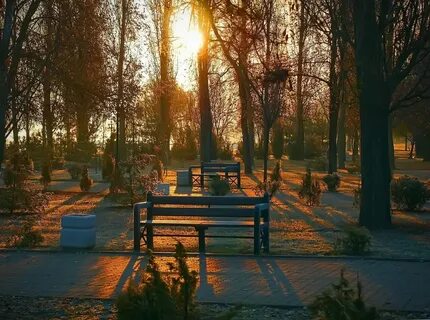 Свет таганрог