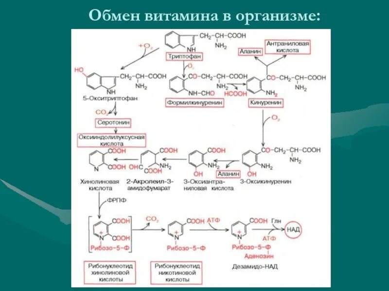 Реакция на витамин д