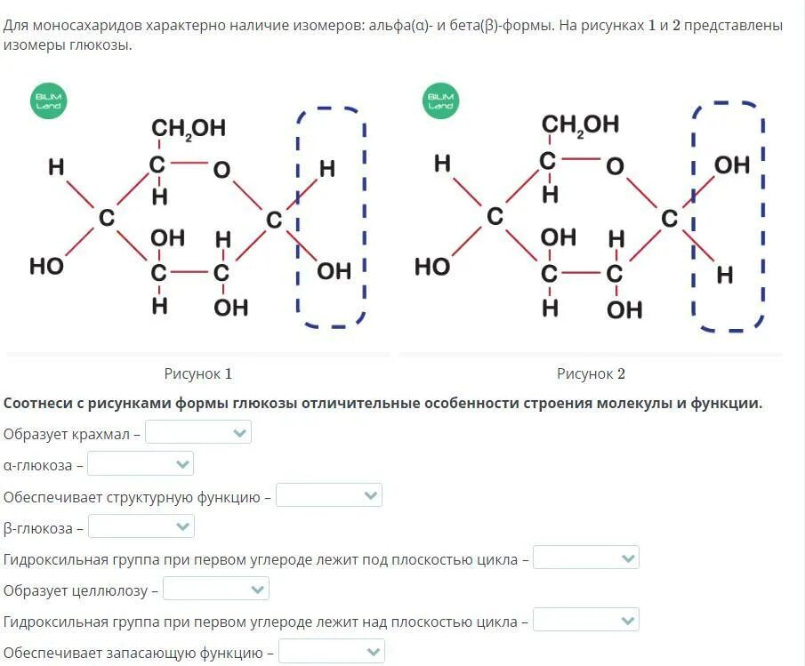 Глюкоза соединение углерода. Строение Глюкозы. Строение молекулы Глюкозы. Особенности строения Глюкозы. Особенности строения молекулы Глюкозы.